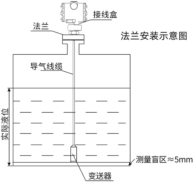 高溫投入式液位計(jì)法蘭安裝示意圖